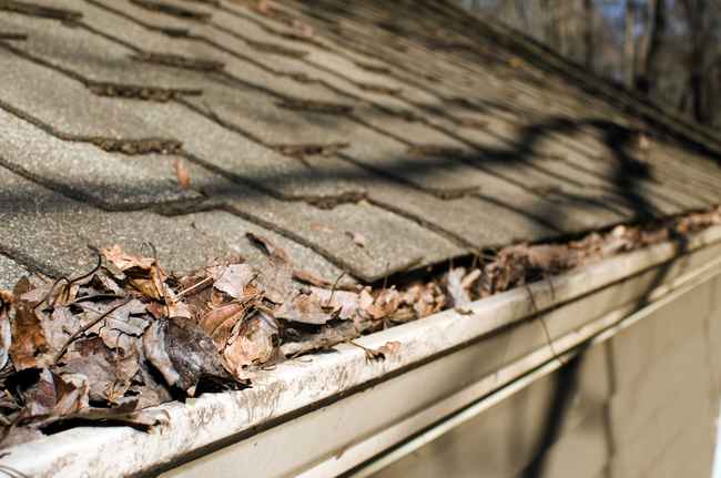 best gutter installer