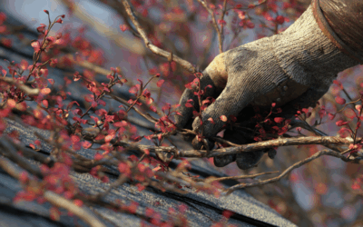 Fall Roof Prep: Trimming Trees to Safeguard Roofs in Centre County