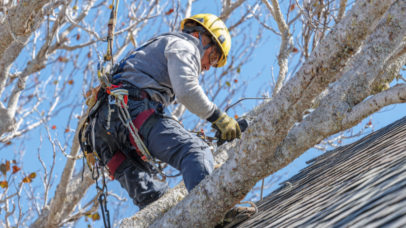 Professional Roof Maintenance Expert in Central PA