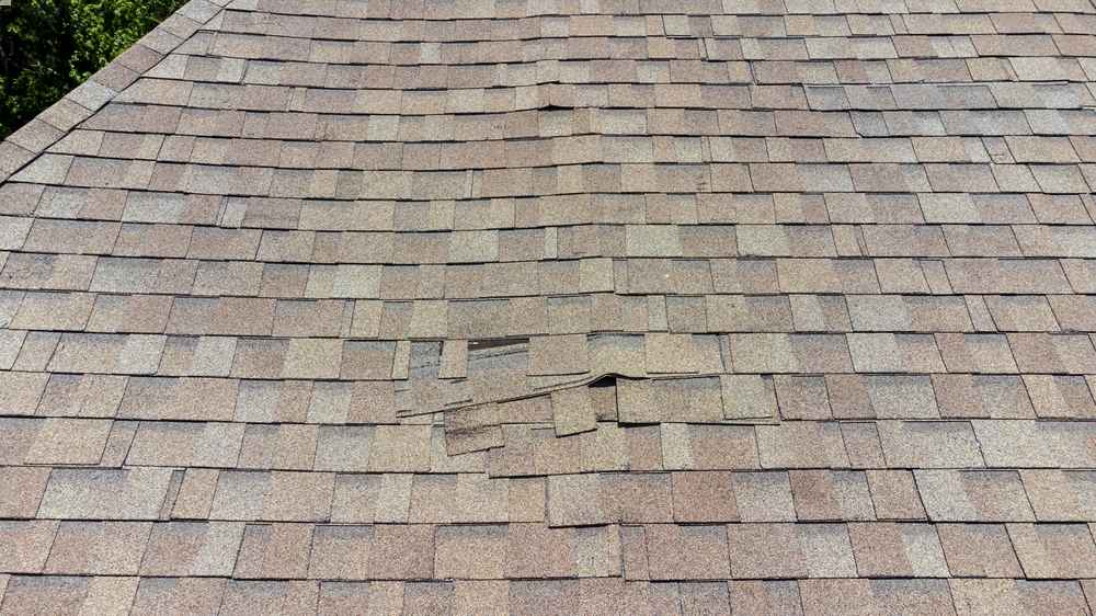 Summer Roofing Problem Expert in Pennsylvania